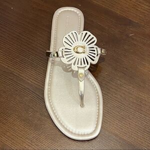 10Ā COACH JULIA SANDALS metallic gold or champagne Bnib